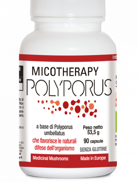 Micotherapy Polyporus